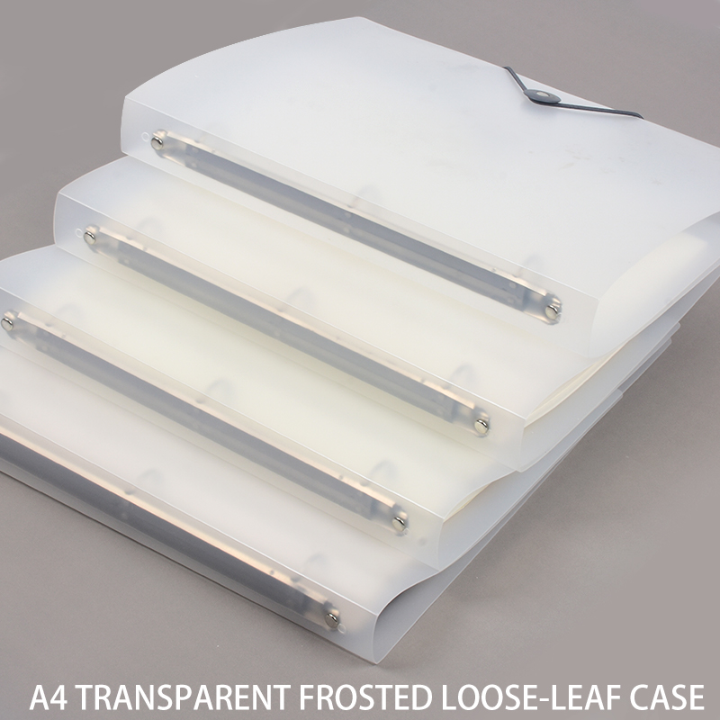 3Pcs Frosted Transparent A4 Lo - đánh giá và giá Binder Storage Box