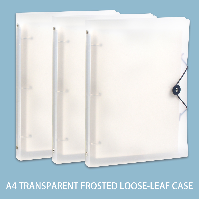 3Pcs Frosted Transparent A4 Lo - đánh giá và giá Binder Storage Box